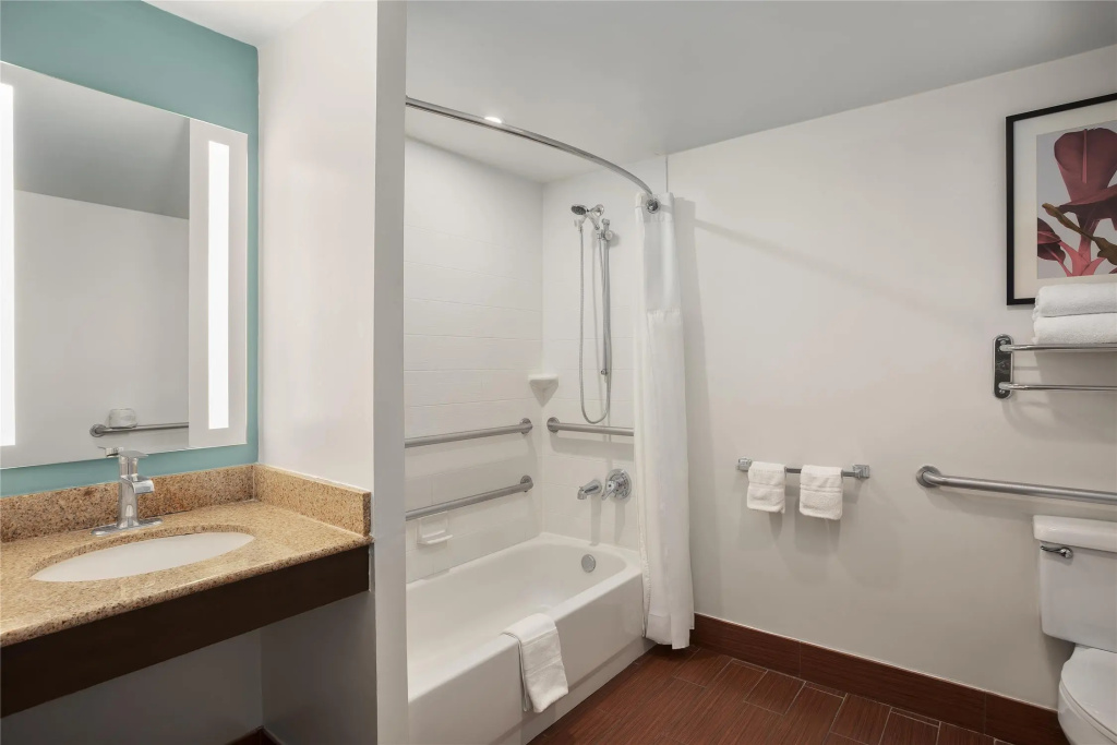 Hilton Garden Inn Tampa North Busch Gardens - Général