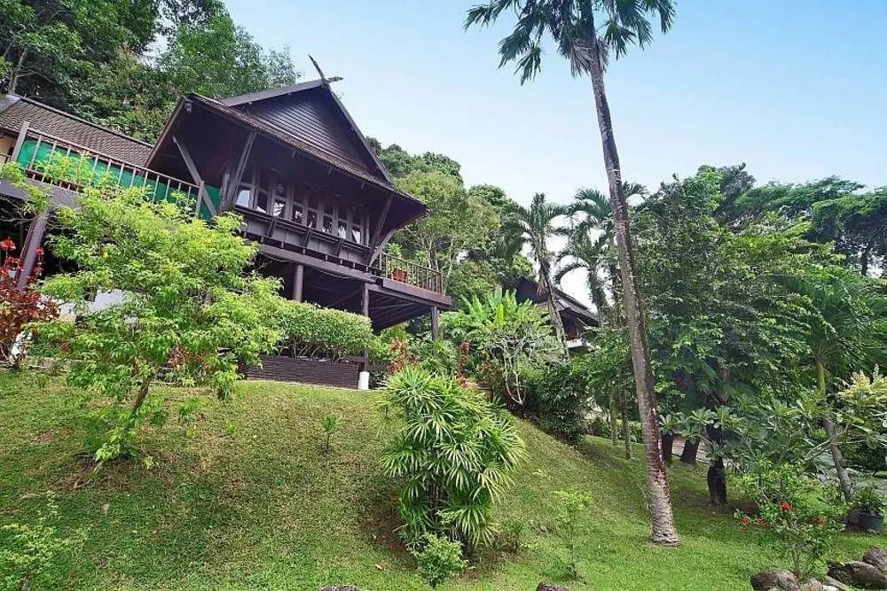 Patong Hill 3