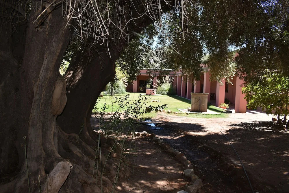 Finca La Sala Hotel Boutique - Chambres