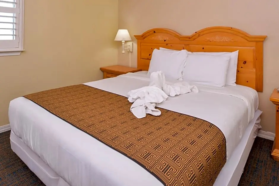 Double Suite (full double bed)