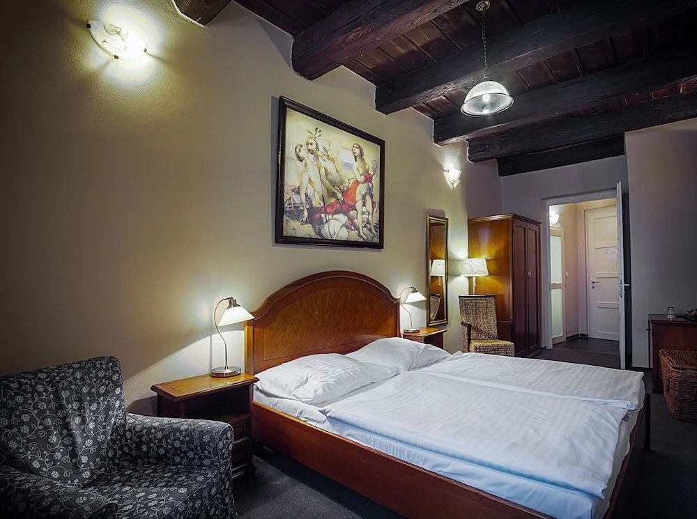 Hotel & Residence U Tri Bubnu - Chambres
