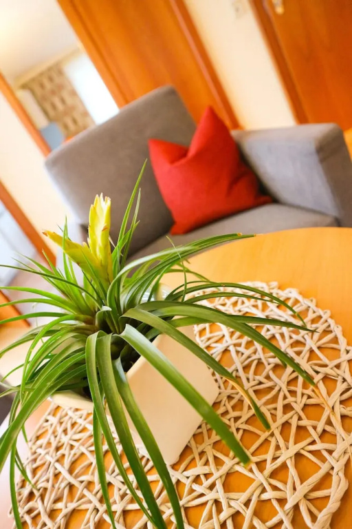 Business Double room with balcony (full double bed)
