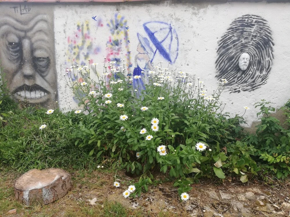 Le Jardin D'eden