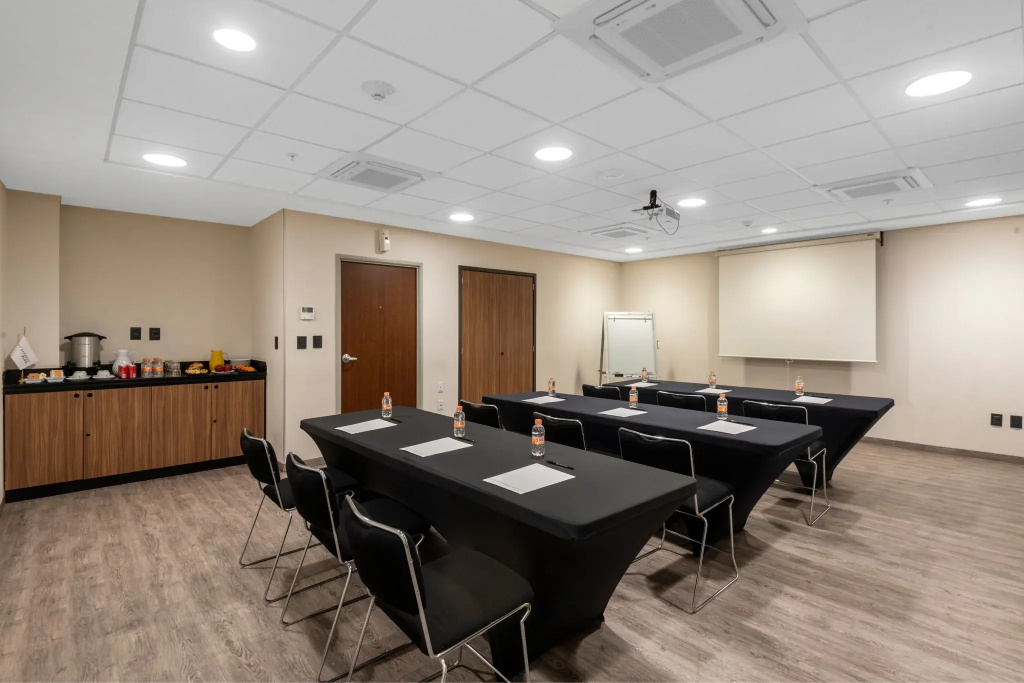 City Express Plus by Marriott Guadalajara Palomar - Général