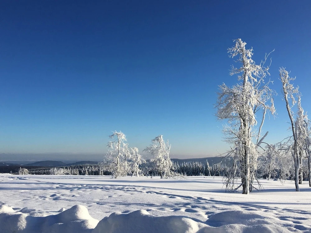 Apartment in Winterberg Near Bobsleigh Run