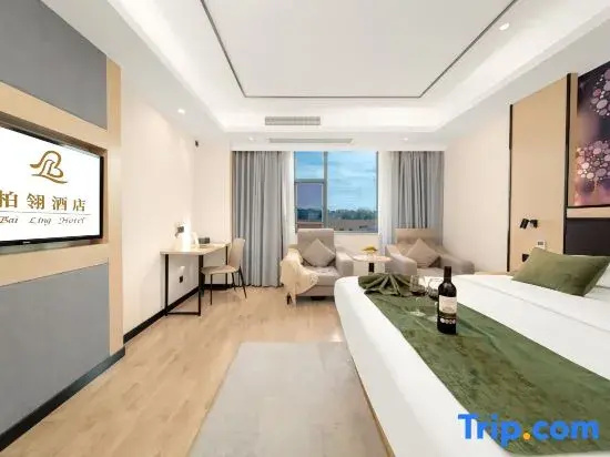Standard Double room with city view (full double bed)