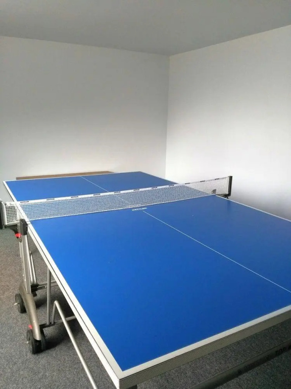 Ferienwohnung Skiliftkarussell Winterberg - Général