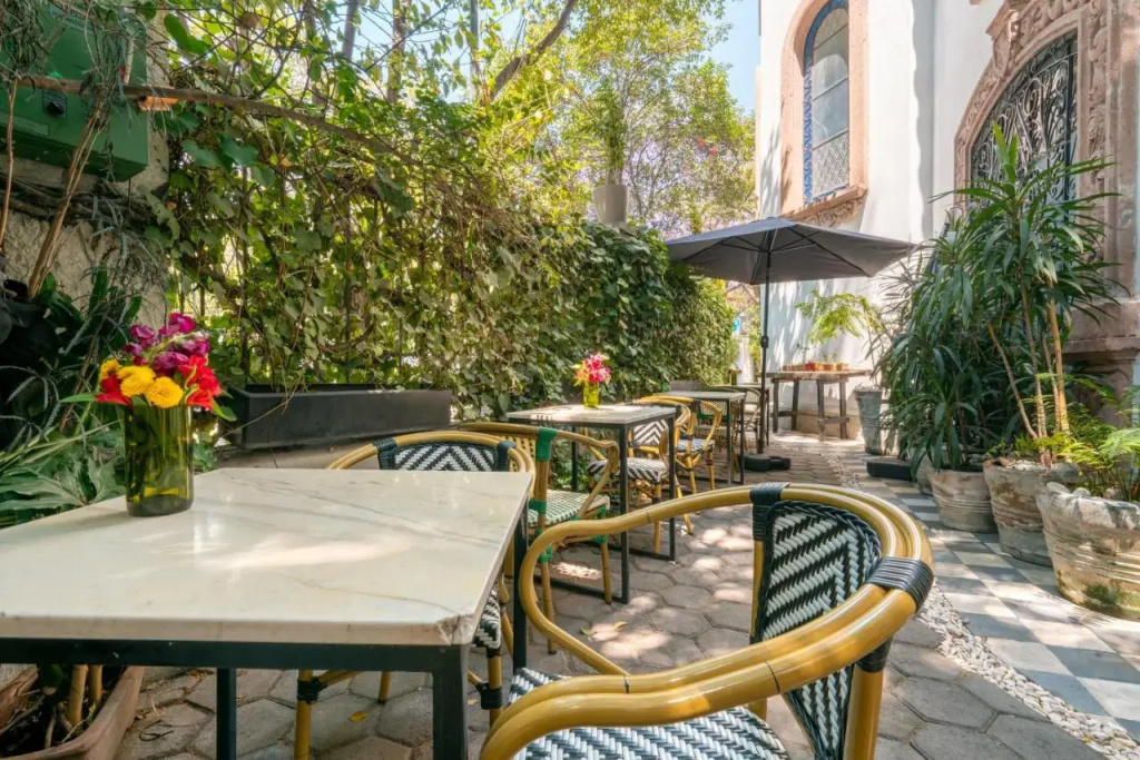 Orchid House Mexico City
