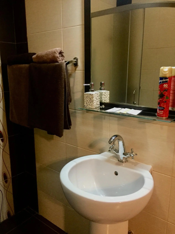 Superior Double room (full double bed)