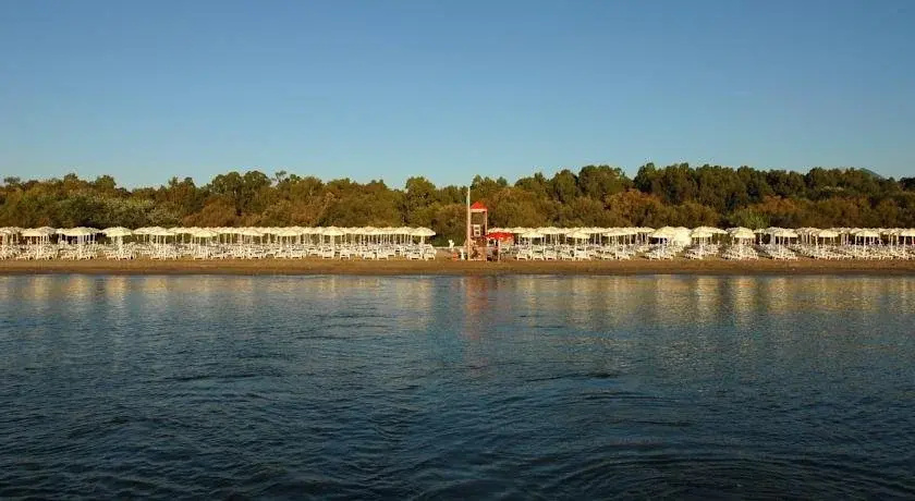 Beach & Waterfront