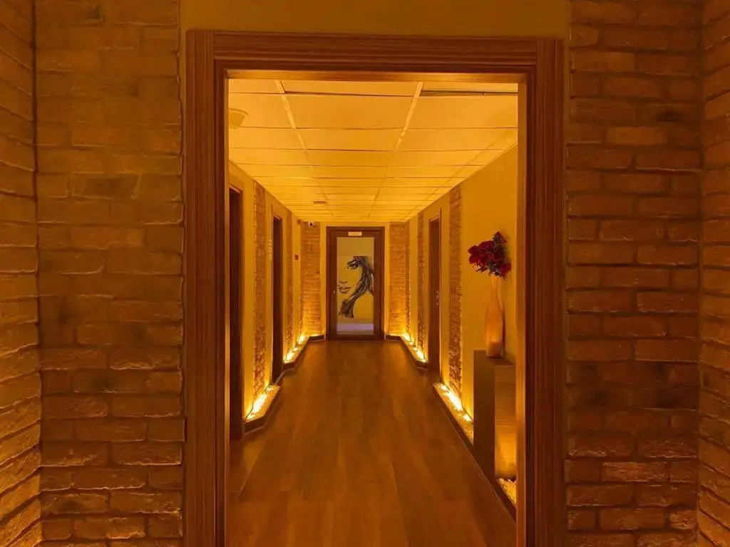 Royal Inci Airport Hotel - Général