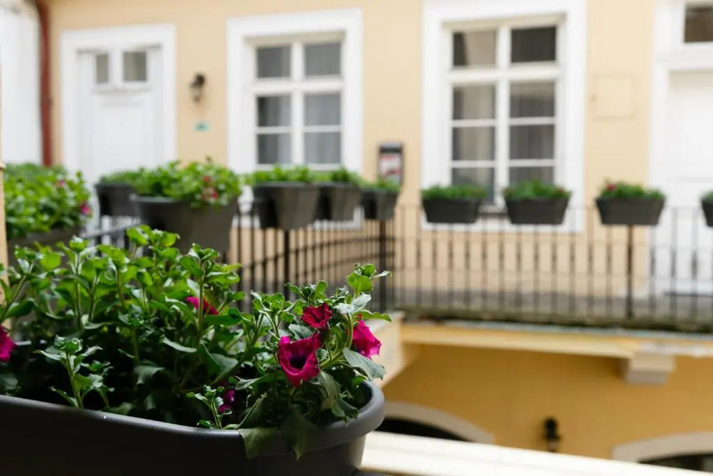 Pension U Lilie - Chambres