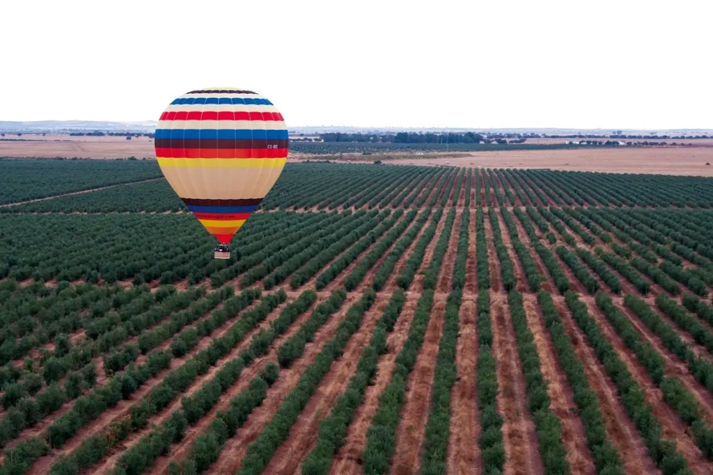 Vila Gale Alentejo Vineyards Hotel - Clube de Campo - Général