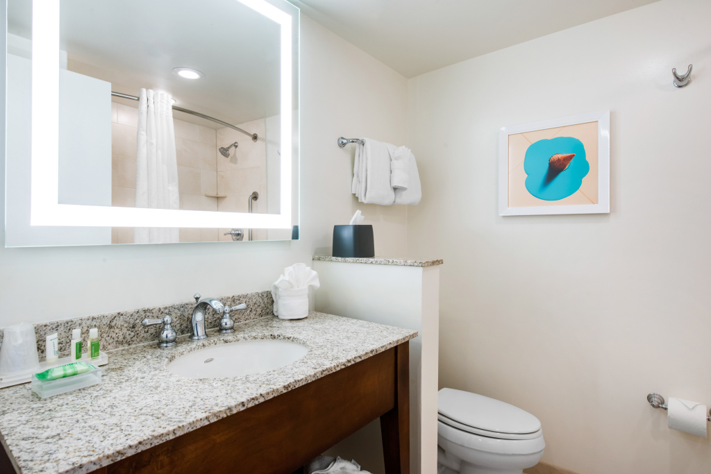 Holiday Inn Orlando - Disney Springs® Area by IHG - Général