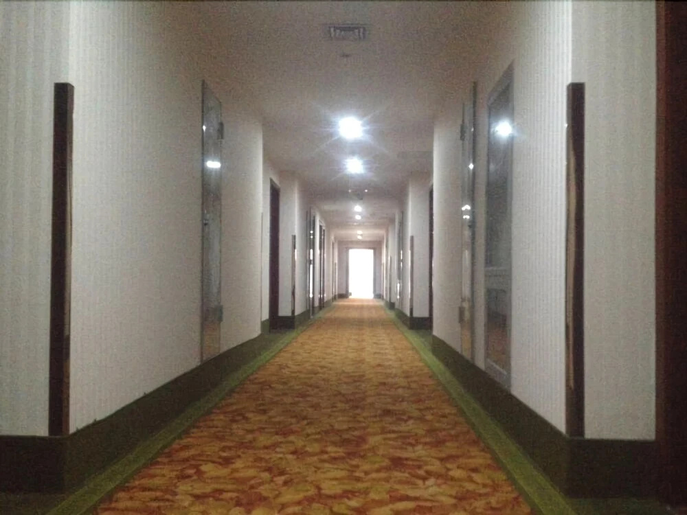 GreenTree Inn Tianjin Xiqing Development Zone Renrenle Square Express Hotel - Général