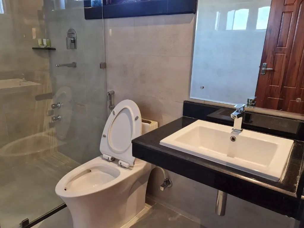 Deluxe Double room (twin beds)