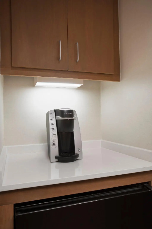 Holiday Inn Grand Rapids Airport by IHG - Chambres