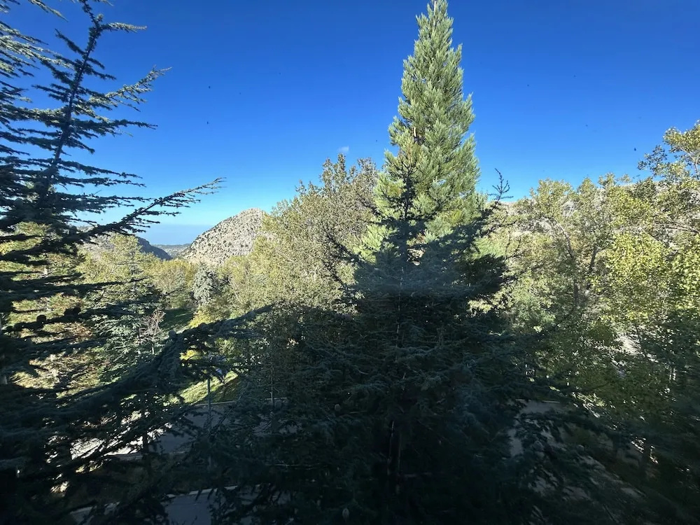 Hotel photo 45
