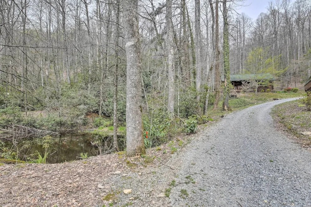 Cozy Blue Ridge Mountain Cabin on 18 Acre Lot