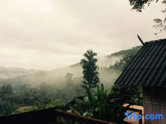 Семейный номер Standard в Akha Hill House