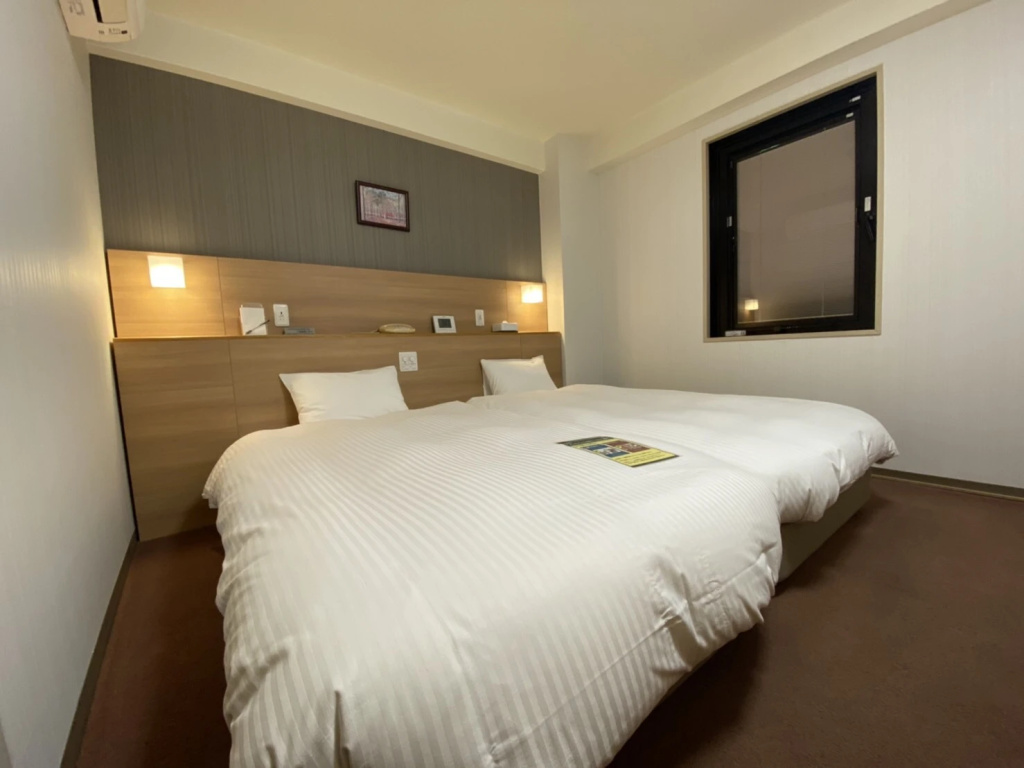 Standard Double room (twin beds)