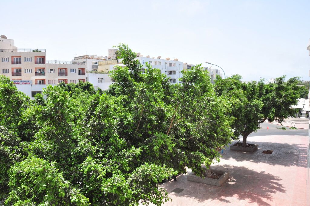 Image 12
