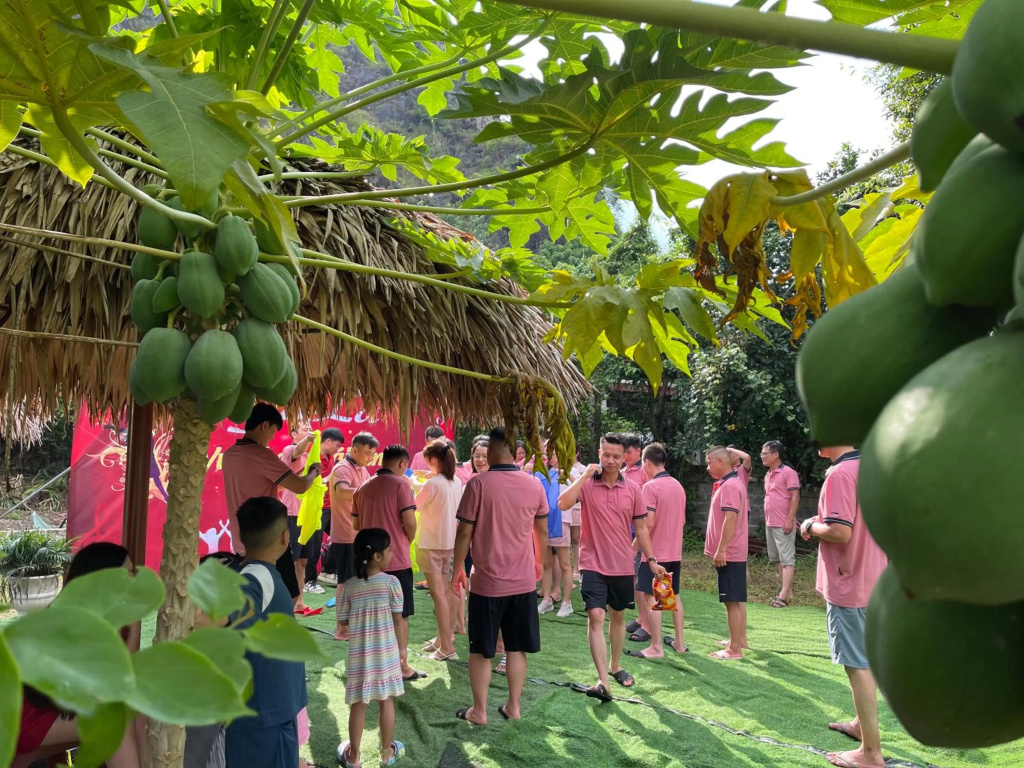 Trang An Moon Garden Homestay