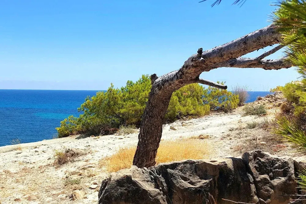 Flat in Villajoyosa With Sea Views & Pool