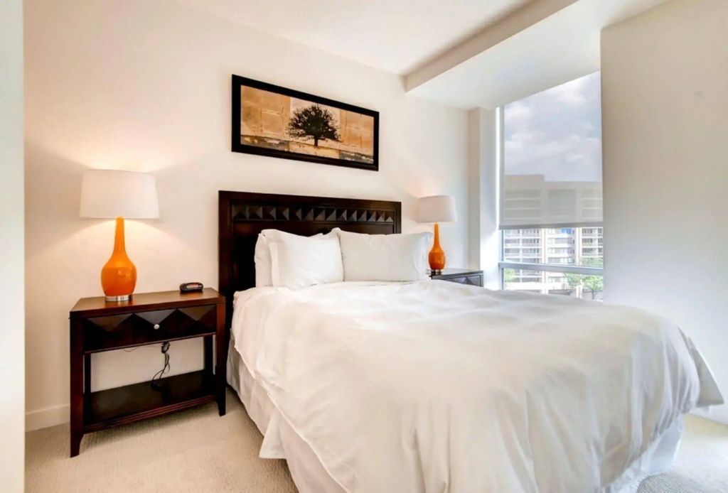 Global Luxury Suites at Crystal City - Général