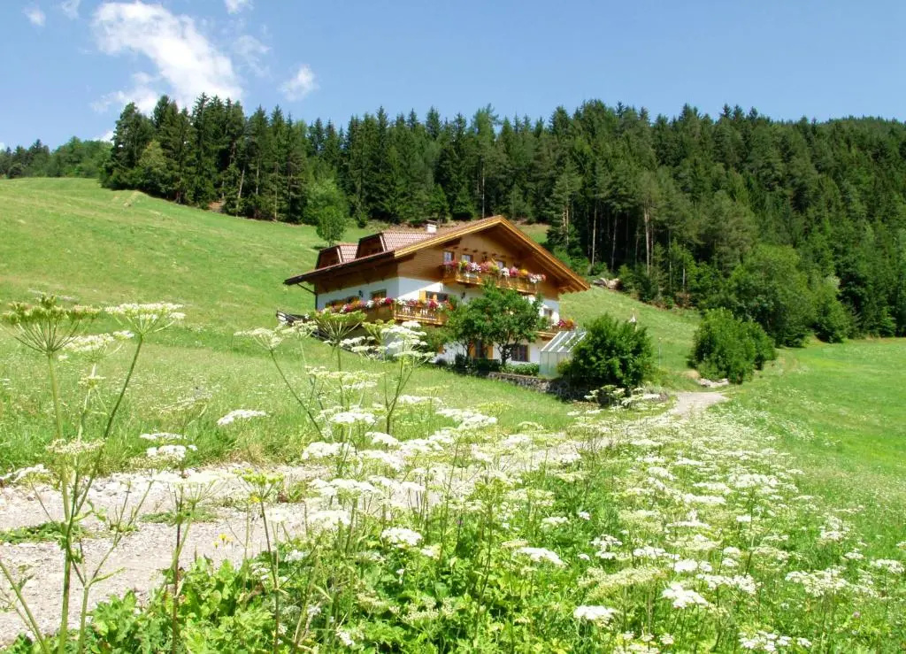 Bergblick
