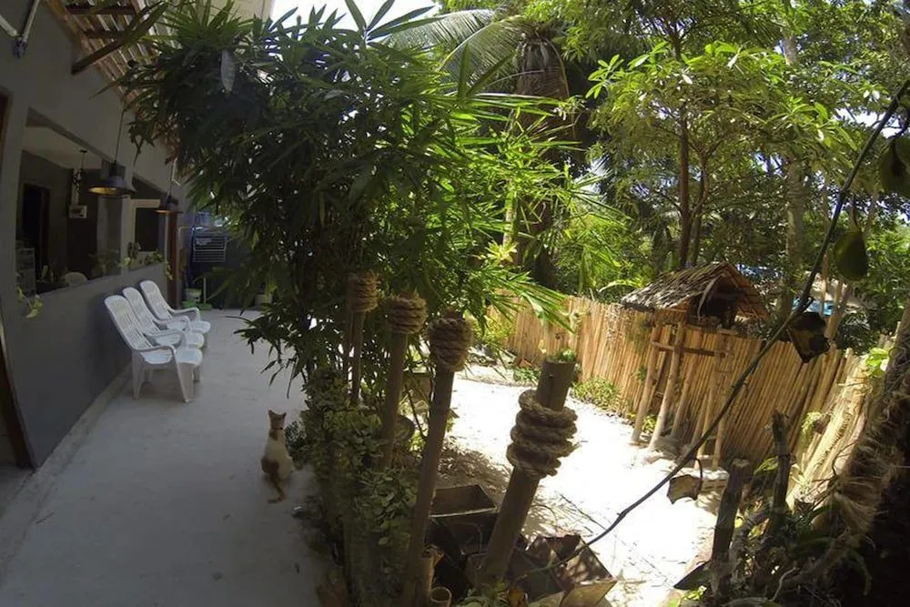 A Forest Story Hostel Adults Only