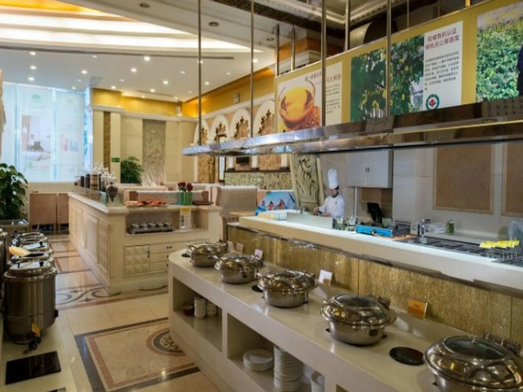Vienna International Hotel Shenzhen North Station Branch - Général
