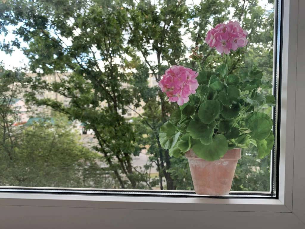 NewStory (НьюСтори) в 1-м микрорайоне - фото 15