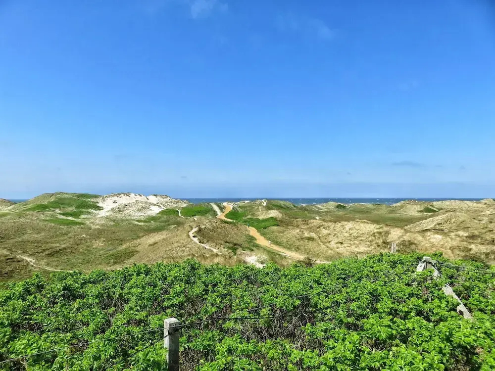 6 Person Holiday Home in Hvide Sande