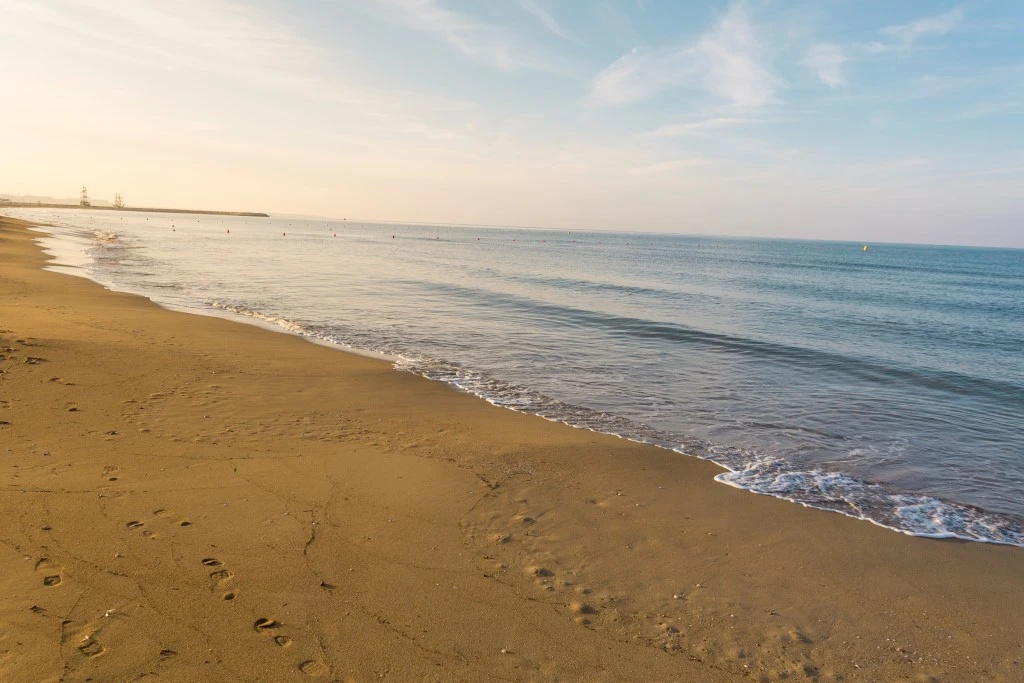 Beach & Waterfront