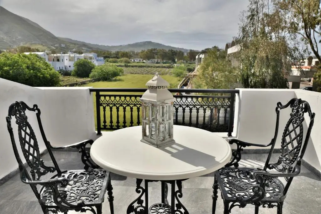Standard Double room with mountain view (full double bed)