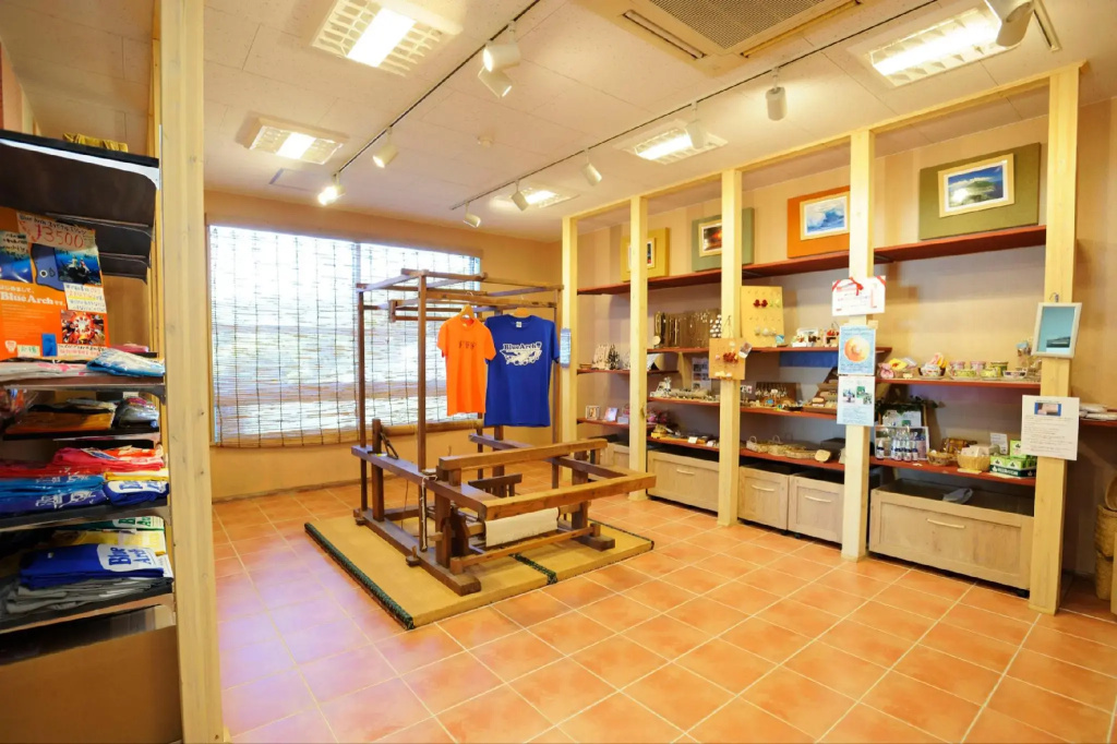 Hachijo View Hotel - Général