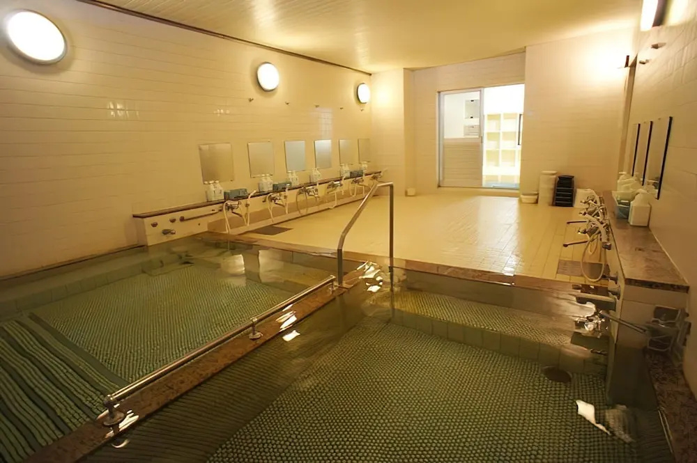 Hotel Chalet Yuzawa Ginsui - Général