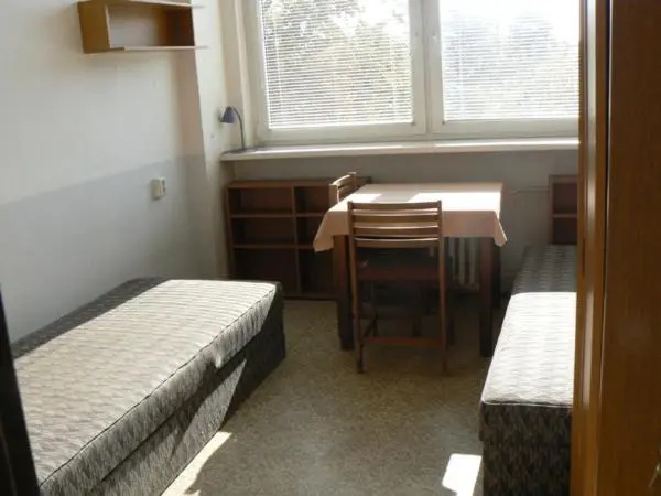 Bed in Dorm (male dorm)