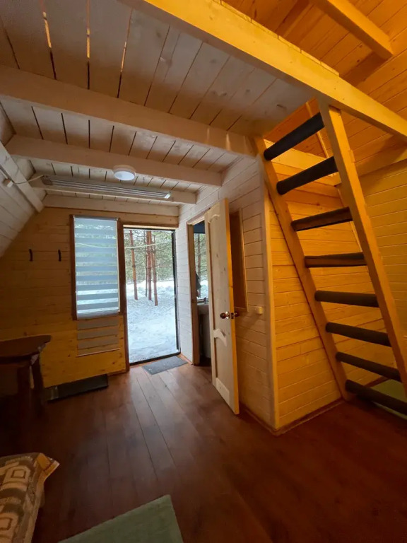 Избушка в лесу - фото 5