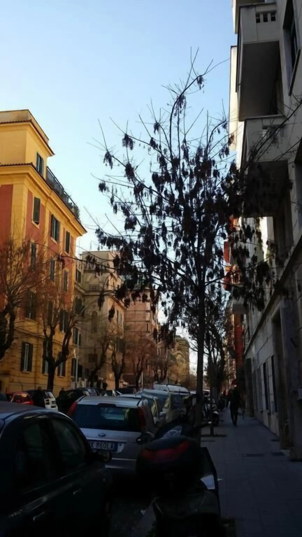 Acchiappasogni Guest House