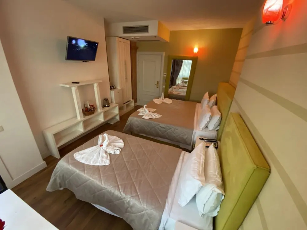 Standard Triple room with city view