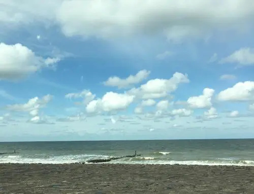 Beach & Waterfront