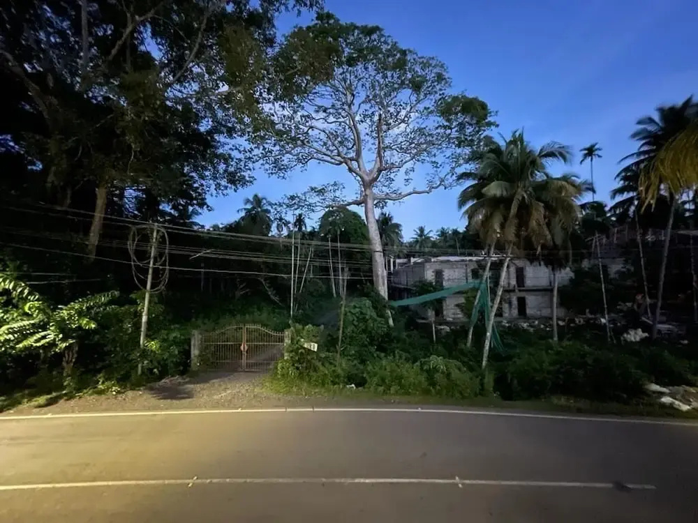 White Pearl Homestay