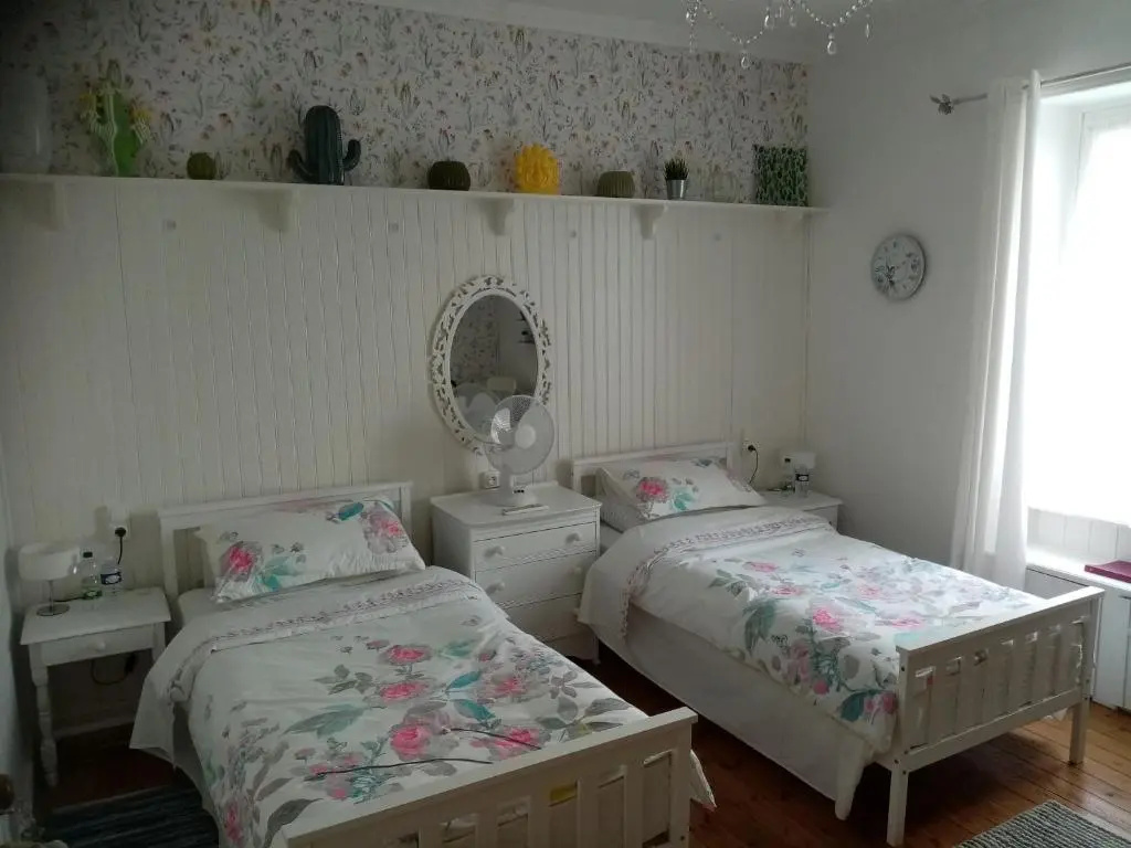 Deluxe Double room (twin beds)
