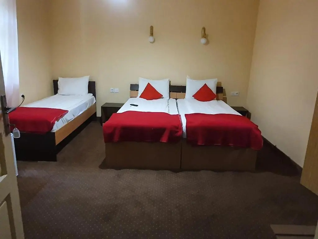 Pensiunea Leia - Chambres