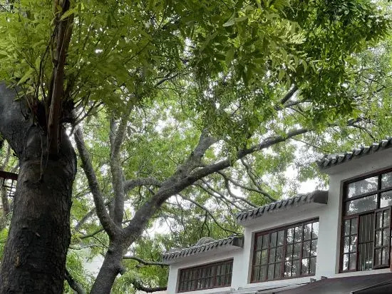 Chao · Qingwaxia Hotel