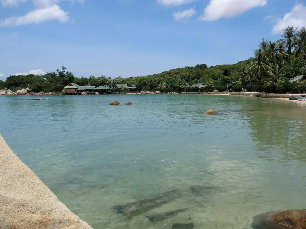 Whale Island Resort - Général