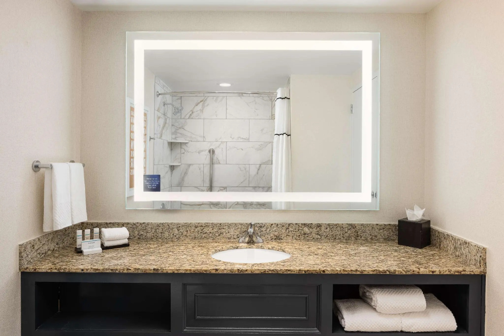 Embassy Suites by Hilton Atlanta Buckhead - Chambres
