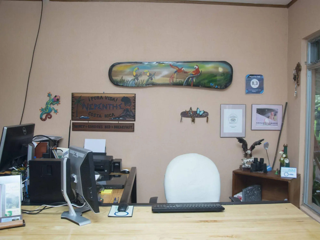 Nepenthe B&B - фото 10